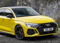 Audi RS 3