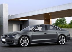 Grafitowe, Audi S8