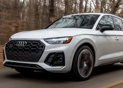 Audi SQ5 na drodze