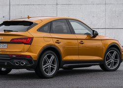 Audi SQ5 Sportback