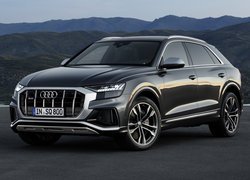 Audi SQ8 TDI