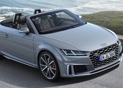 Audi TT III Roadster