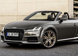 Audi TT Roadster Bronze