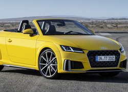 Audi TT Roadster S