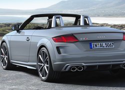 Audi TTS Roadster, Cabrio