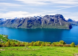 Norwegia, Fiord Aurlandsfjord, Hrabstwo Sogn og Fjordane, Góry, Krzewy, Domy