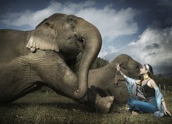 Azjatka siedząca obok słoni