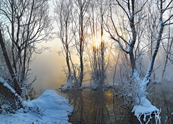 Bagno z ośnieżonymi drzewami otulone poranną mgiełką