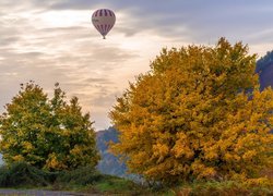 Drzewa, Jesień, Balon