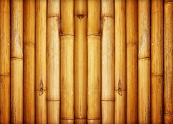Tekstura, Bambus