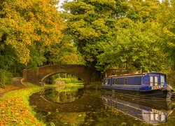 Anglia, Hrabstwo Worcestershire, Miasto Kidderminster, Park, Drzewa, Most, Barka, Rzeka, Kanał, Staffordshire and Worcestershire Canal, Jesień