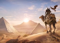 Bayek na wielbłądzie spogląda na piramidy