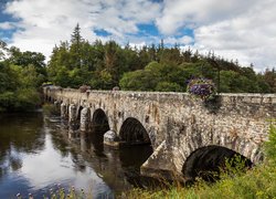 Irlandia, Hrabstwo Kerry, Wieś Beaufort, Rzeka Laune, Most kamienny  Beaufort Bridge, Rzeka, Las, Drzewa