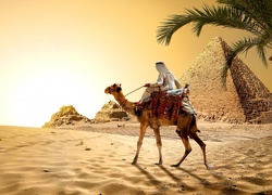 Beduin na wielbłądzie w pobliżu piramid na pustyni w Egipcie
