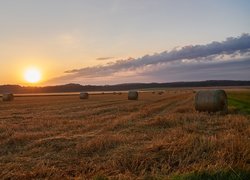 Pole, Słoma, Bele, Las, Chmury, Poranek, Wschód słońca