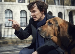 Benedict Cumberbatch z psem rasy bloodhound w serialu Sherlock