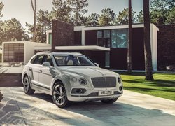 Bentley Bentayga, Hybrid