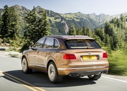 Bentley Bentayga na drodze