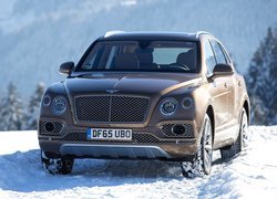 Bentley Bentayga, Śnieg