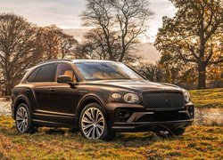 Bentley Bentayga Outdoor Pursuits rocznik 2021