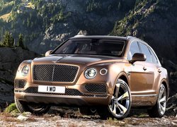 Bentley Bentayga, SUV, Przód