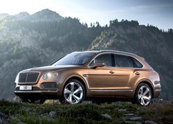 Bentley Bentayga, SUV