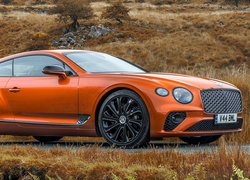 Bentley Continental GT Mulliner