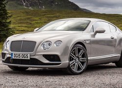 Bentley Continental GT przodem