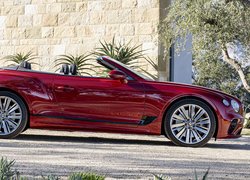 Bentley Continental GT Speed Convertible bok