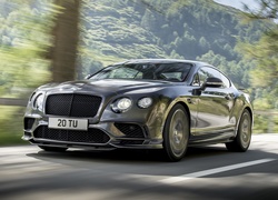 Bentley Continental Supersports na drodze pośród drzew