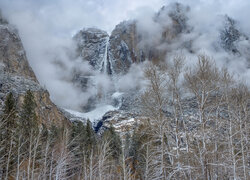 Bezlistne drzewa i mgła nad górami w Parku Narodowym Yosemite