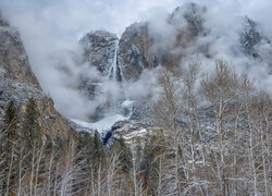 Park Narodowy Yosemite, Kalifornia, Stany Zjednoczone, Drzewa, Góry, Mgła