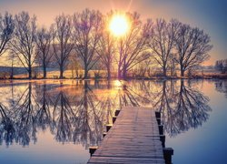 Bezlistne drzewa i pomost nad jeziorem w blasku słońca