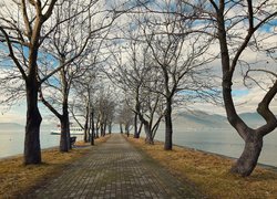Bezlistne drzewa i statek przy promenadzie nad jeziorem