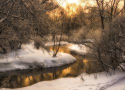 Bezlistne drzewa na ośnieżonych brzegach rzeki Churilikha