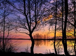 Bezlistne drzewa nad jeziorem na tle zachodu słońca