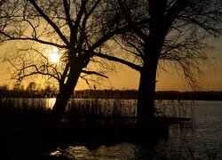 Bezlistne drzewa nad rzeką w blasku zachodzącego słońca