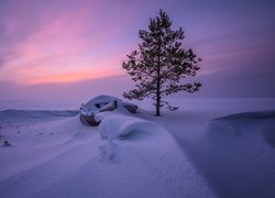 Bezlistne drzewo obok łódki w śnieżnej zaspie