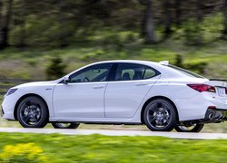 Biała, Acura TLX, Bok