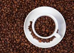 Biała filiżanka i spodek na ziarnach kawy