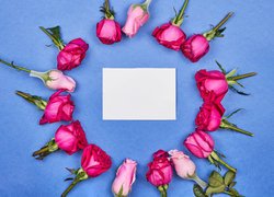 Biała kartka otoczona różami na niebieskim tle