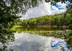 Białe chmury nad leśnym jeziorem