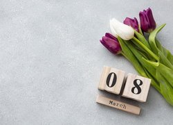 Tulipany, Klocki, Napis, 8, March, Dzień Kobiet