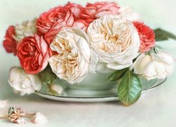 Białe i czerwone róże