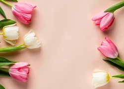 Kwiaty, Kolorowe, Tulipany Różowe, Tło