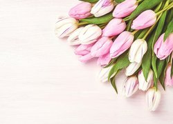 Białe, Różowe, Tulipany, Jasne, Tło