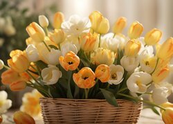 Białe i żółte tulipany w wiklinowym koszu