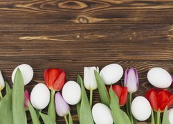 Białe jajka i kolorowe tulipany na deskach