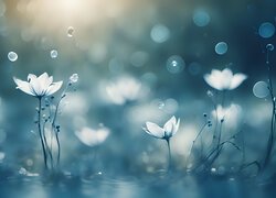 Białe kwiatki w wodzie