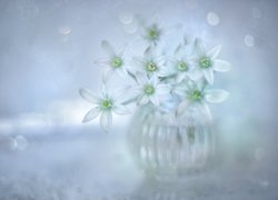 Białe kwiatuszki w szklanym wazonie